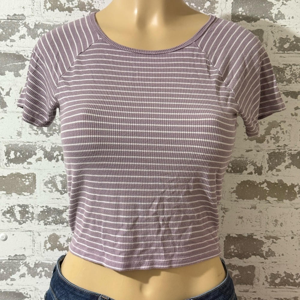 American Eagle Outfitters Lavender and White Striped Crop Top